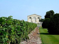 /album/wine-bordeaux-dictionary/bol-0516-jpg1/