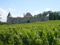 /album/wine-bordeaux-dictionary/p1010816-jpg/