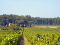 /album/wine-bordeaux-dictionary/c485x0-100-dsc00230-jpg/